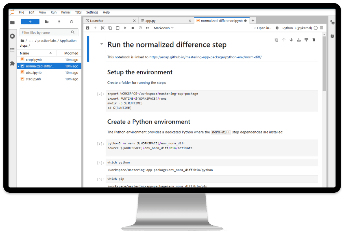 JupyterLab Screen